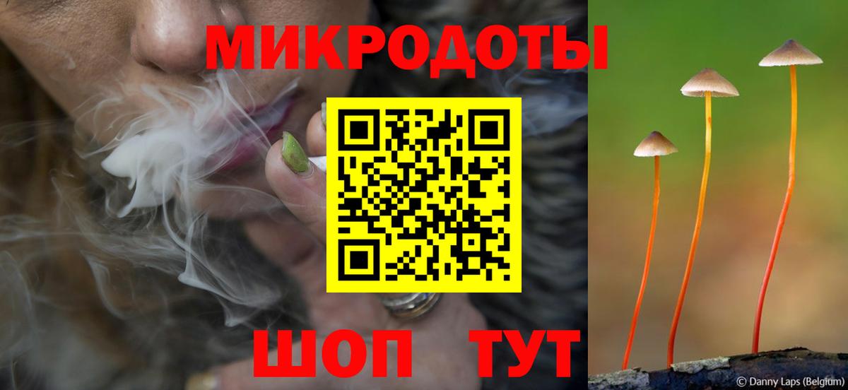 Псилоцибиновые грибы прущие грибы Артёмовский