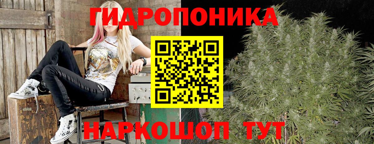 Бошки марихуана ГИДРОПОН  Вход с VPN  Артёмовский  МАРИХУАНА марихуана 